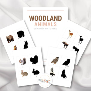 Woodland Animals Shadow Matching