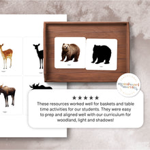 Load image into Gallery viewer, Woodland Animals Shadow Matching
