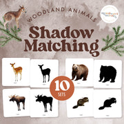 Woodland animal silhouettes for shadow identification activity
