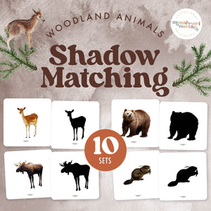 Woodland Animals Shadow Matching