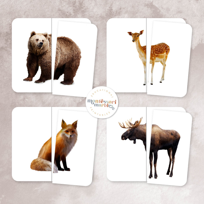 Woodland Animals Mini Bundle
