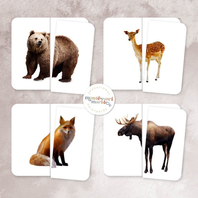Woodland Animals Two-Piece Puzzles