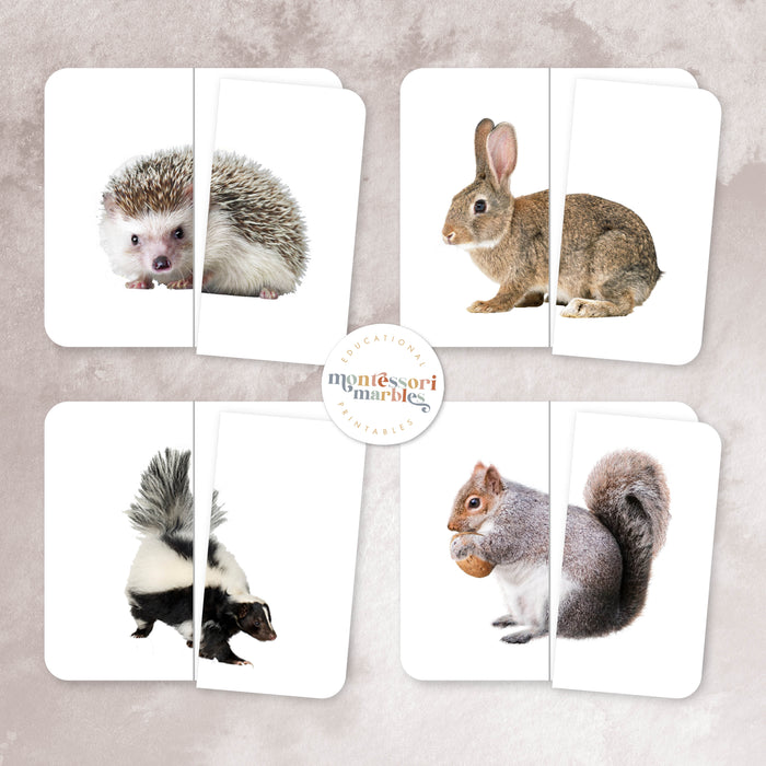 Woodland Animals Two-Piece Puzzles