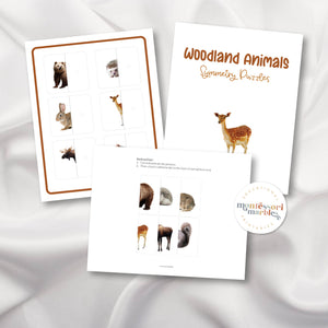 Woodland Animals Symmetry Puzzles