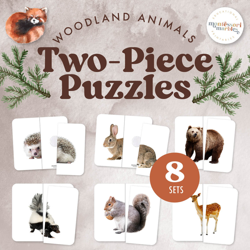 Woodland animal symmetry puzzles for bilateral matching