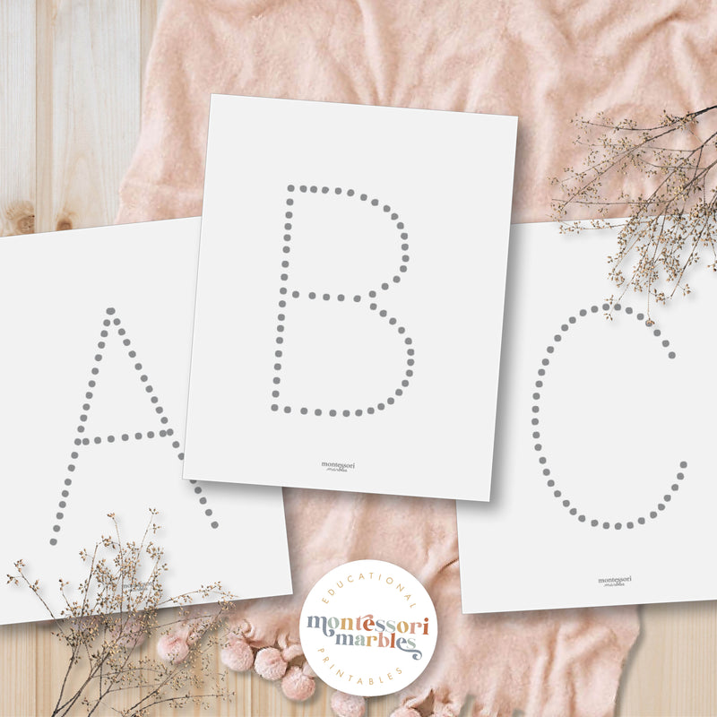 Alphabet and Numbers Workbook