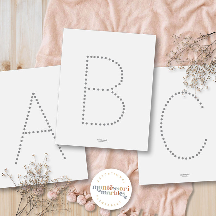 Alphabet and Numbers Workbook