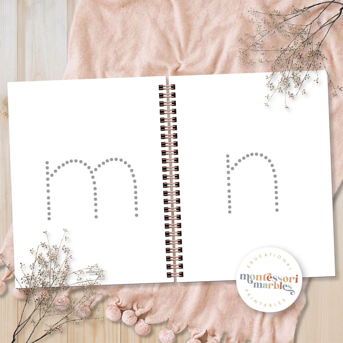 Alphabet and Numbers Workbook
