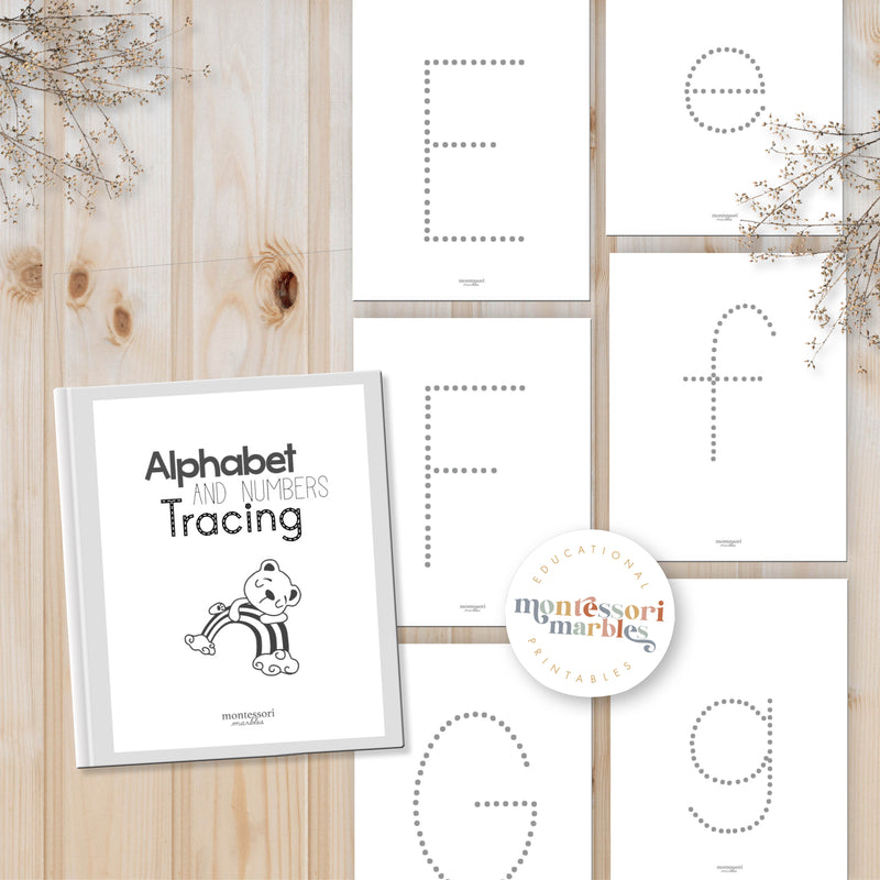 Alphabet and Numbers Workbook