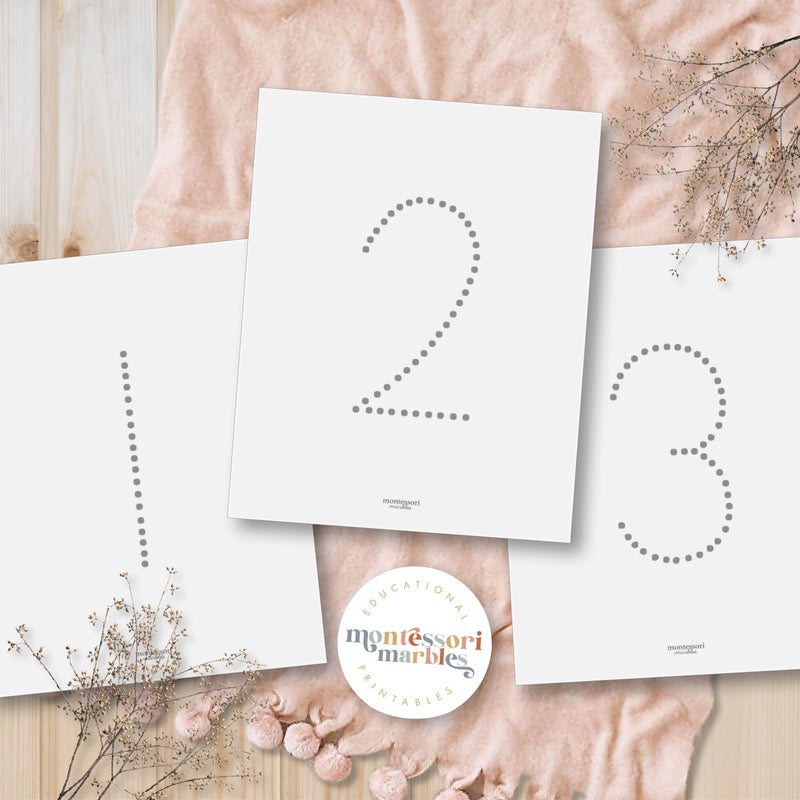 Alphabet and Numbers Workbook