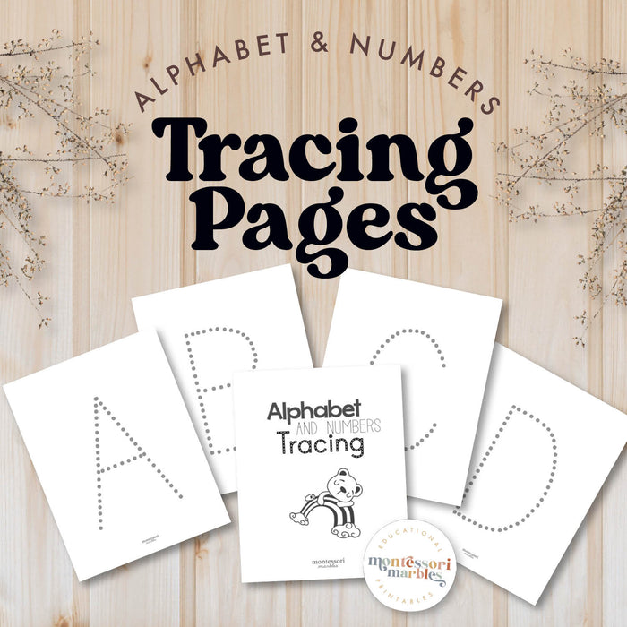 Alphabet and Numbers Workbook