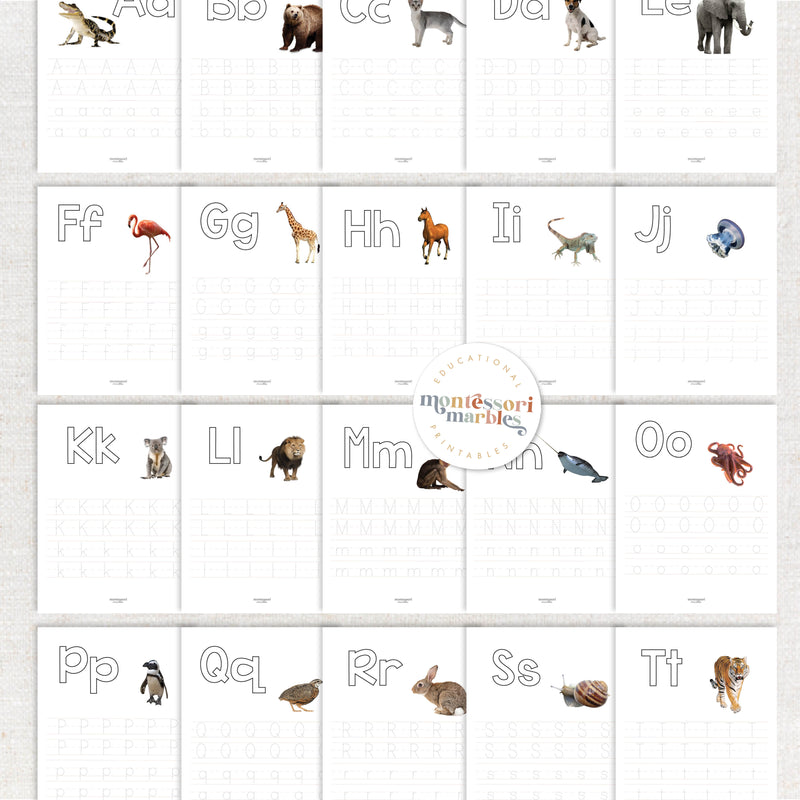 Beginning Sounds Workbook