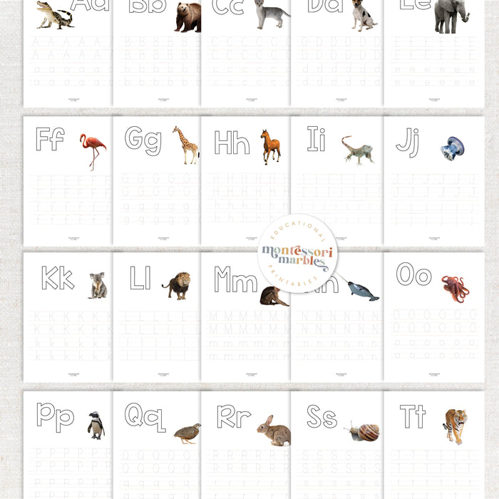 Beginning Sounds Workbook