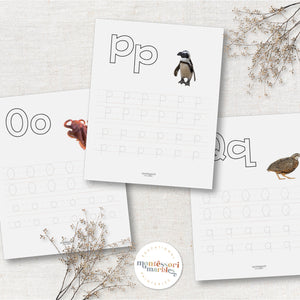 Beginning Sounds Workbook