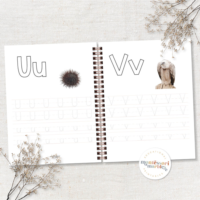 Beginning Sounds Workbook