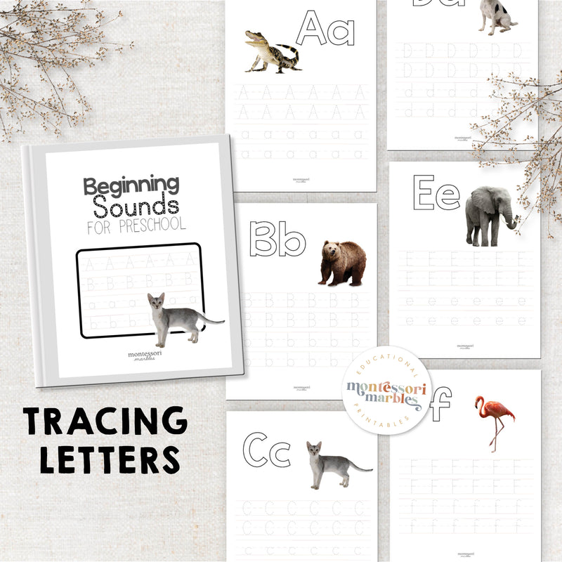 Beginning Sounds Workbook