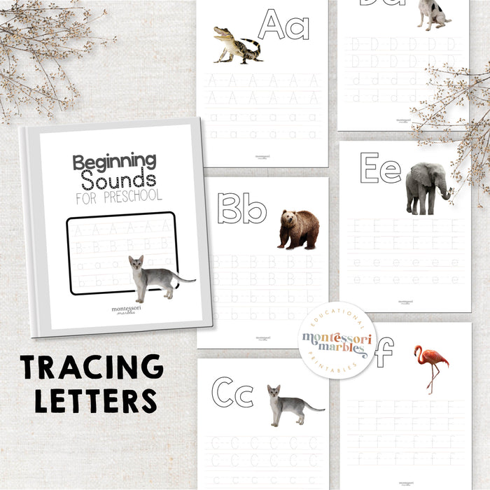 Beginning Sounds Workbook