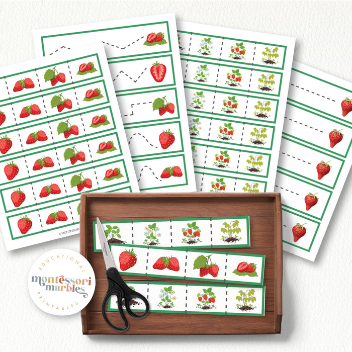 Strawberry Cutting Strips