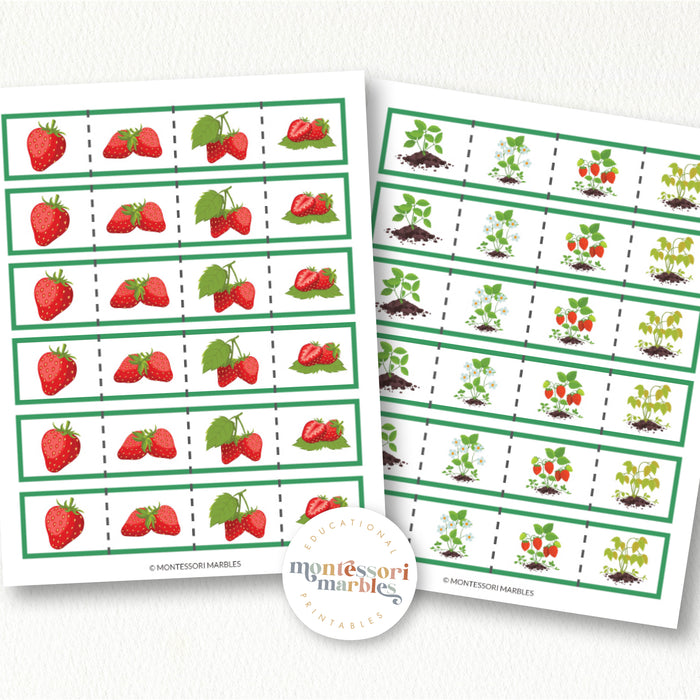 Strawberry Cutting Strips