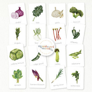 Vegetables Flash Cards