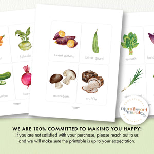 Vegetables Flash Cards