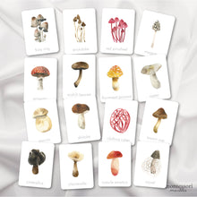 Load image into Gallery viewer, Mushroom Flash Cards

