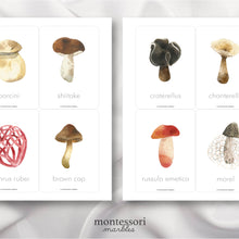 Load image into Gallery viewer, Mushroom Flash Cards
