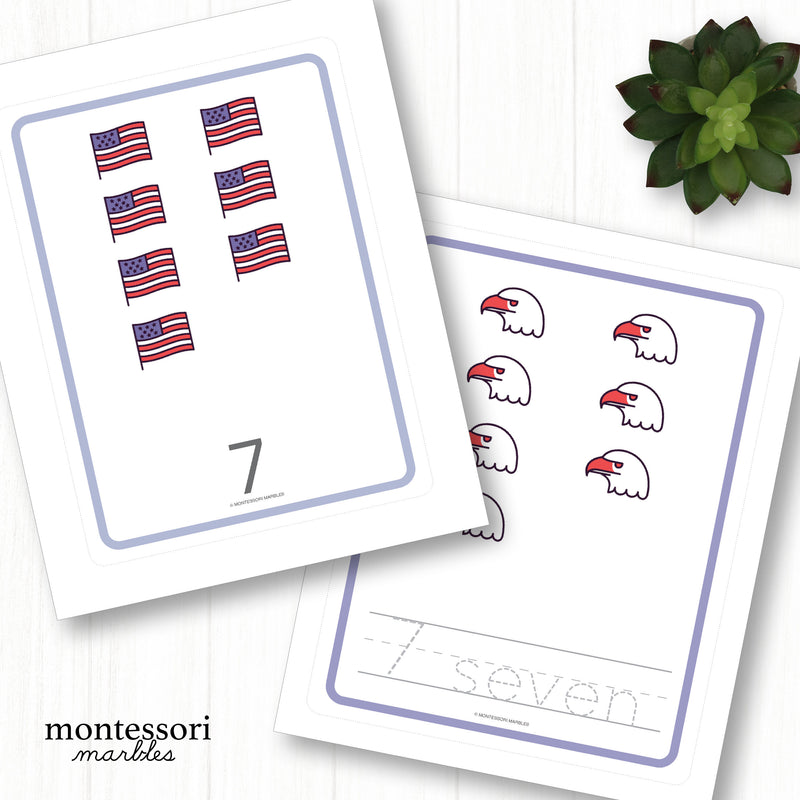 United States Count & Trace