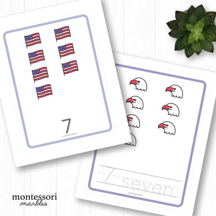 United States Count & Trace
