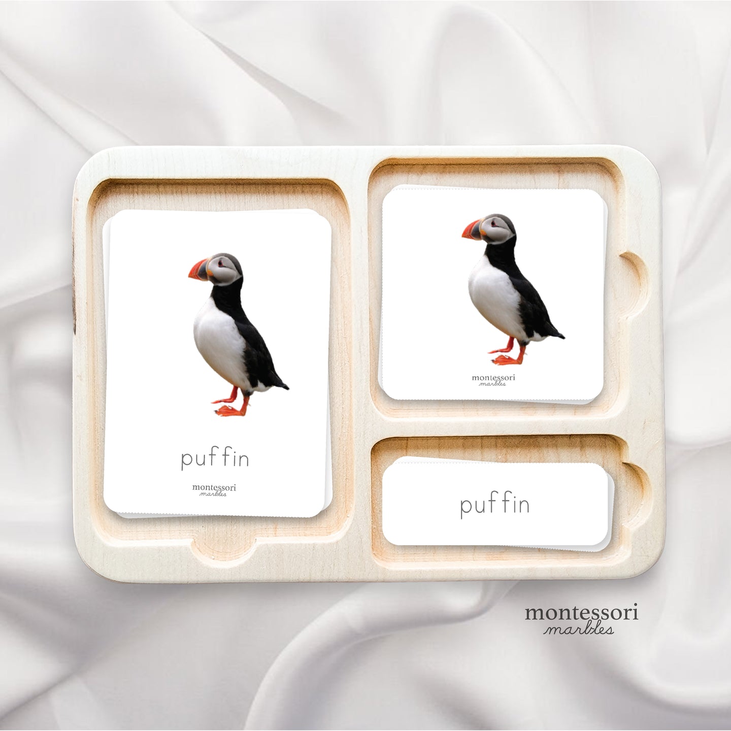 Polar Animals Nomenclature Cards