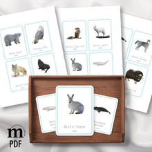 Load image into Gallery viewer, Polar Animals Flash Card
