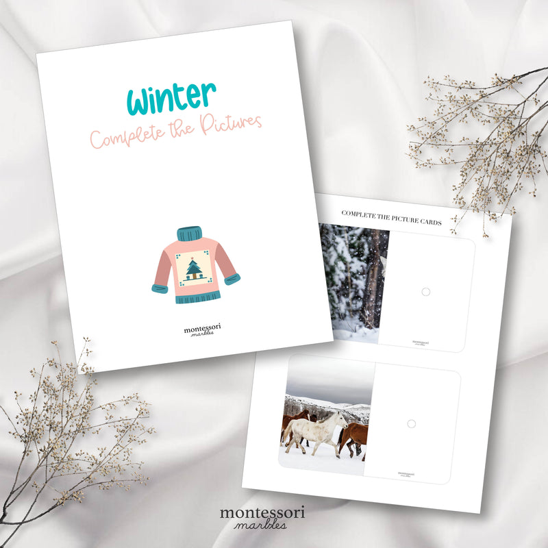 Winter Complete the Pictures