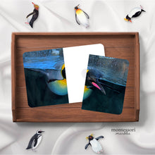 Load image into Gallery viewer, Penguins Complete the Pictures
