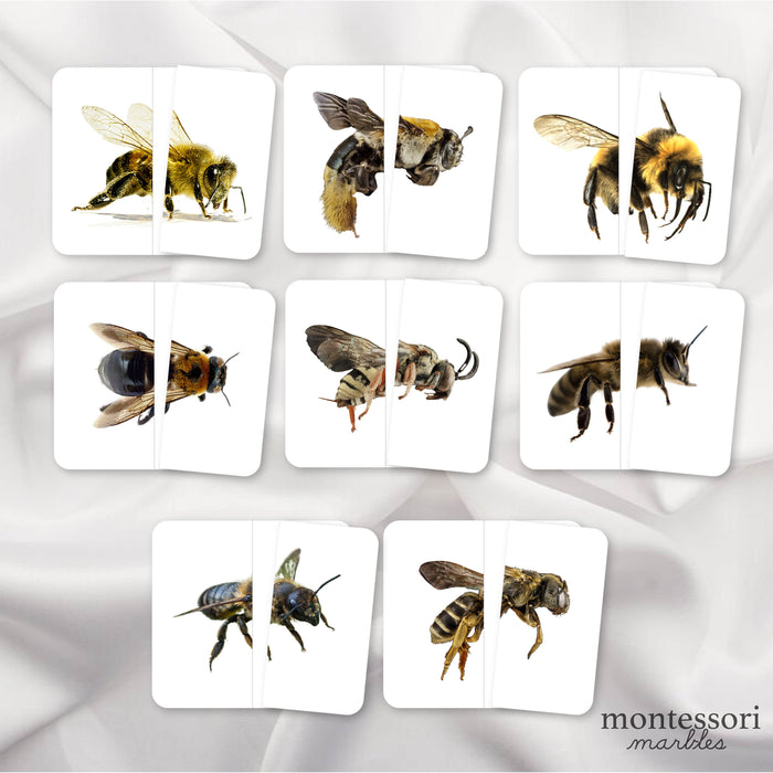 Symmetry Puzzles Animal Bundle