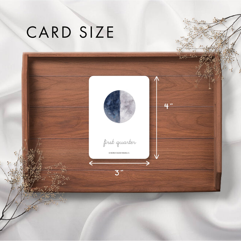 Moon Phases Flash Cards (Cursive)