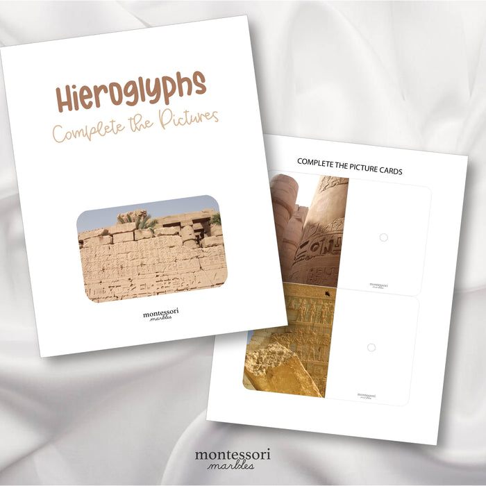 Egyptian Hieroglyphs Complete The Pictures