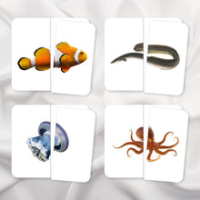 Load image into Gallery viewer, Ocean Animals Symmetry Puzzles
