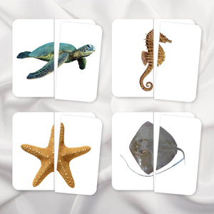 Ocean Animals Symmetry Puzzles