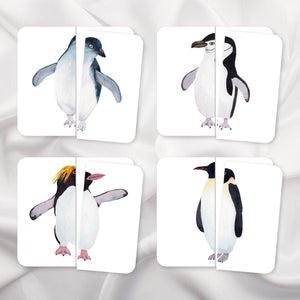 Penguins Symmetry Puzzles