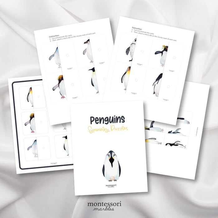Penguins Symmetry Puzzles