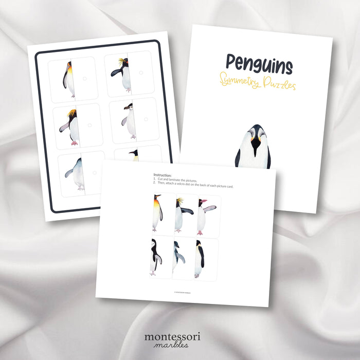 Penguins Symmetry Puzzles