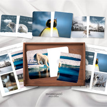 Load image into Gallery viewer, Polar Animals Complete the Pictures
