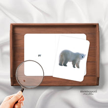 Load image into Gallery viewer, Polar Animals Magni-Match
