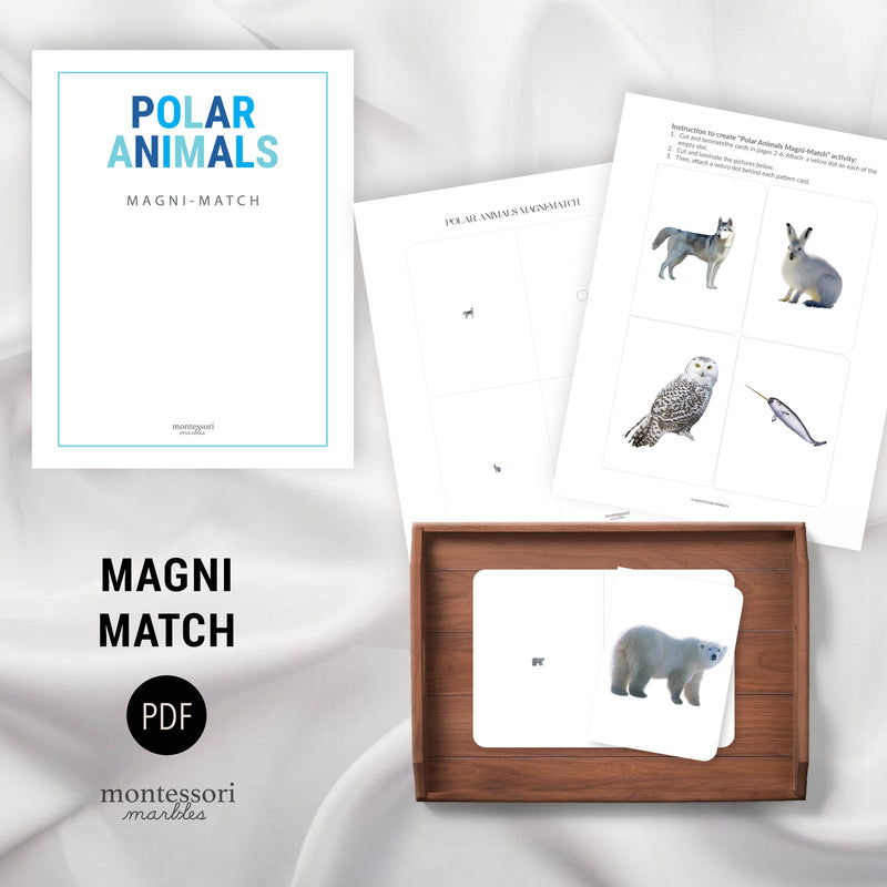 Polar Animals Mini Bundle