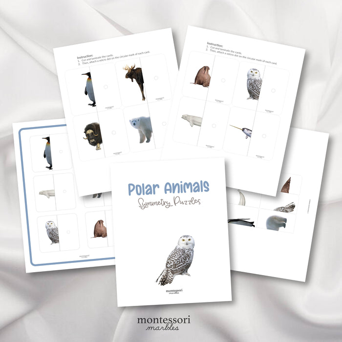 Polar Animals Symmetry Puzzles