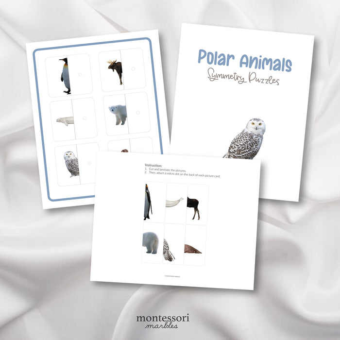 Polar Animals Symmetry Puzzles