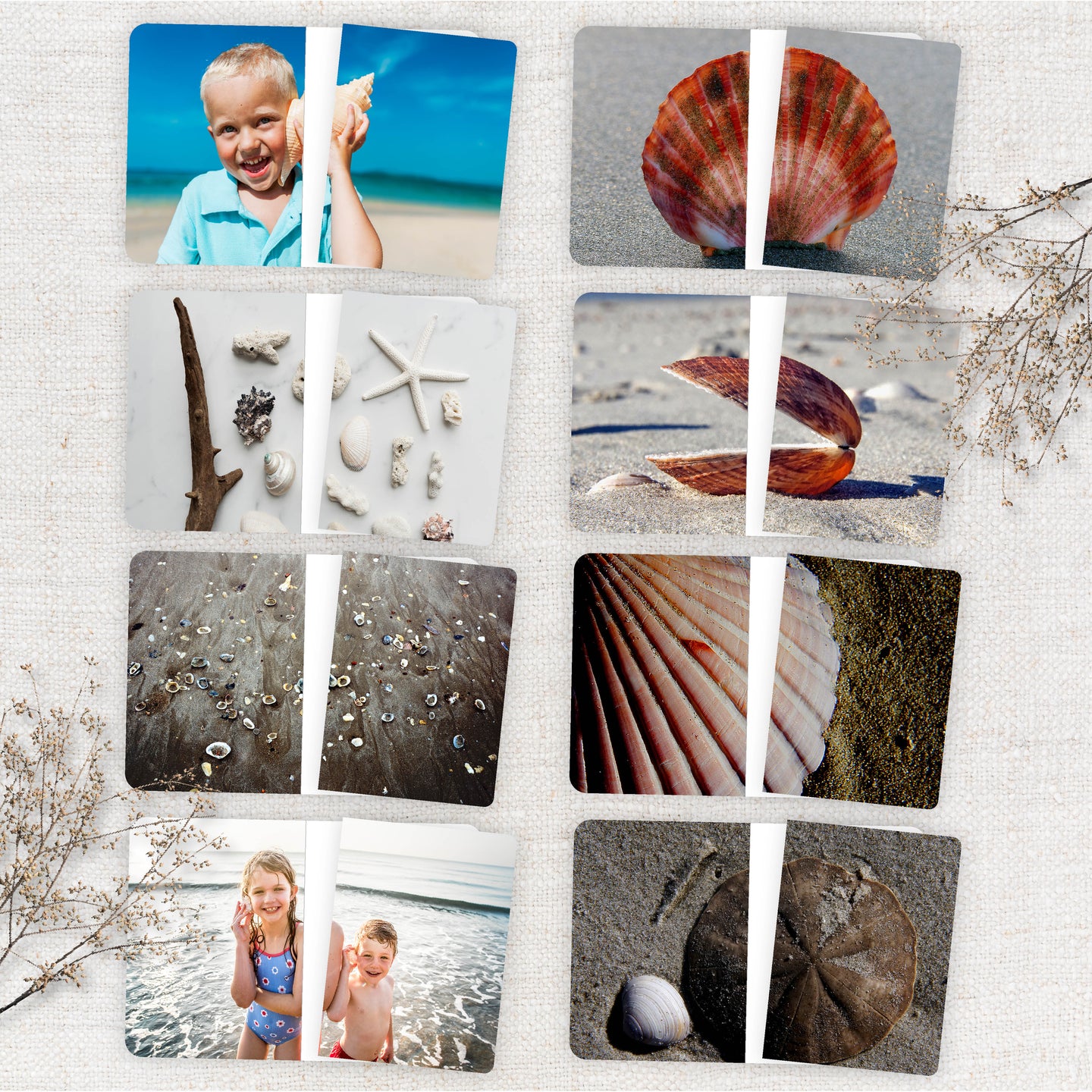 Seashells Complete The Pictures