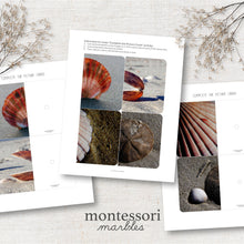 Load image into Gallery viewer, Seashells Complete The Pictures
