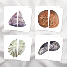 Load image into Gallery viewer, Seashells Symmetry Puzzles
