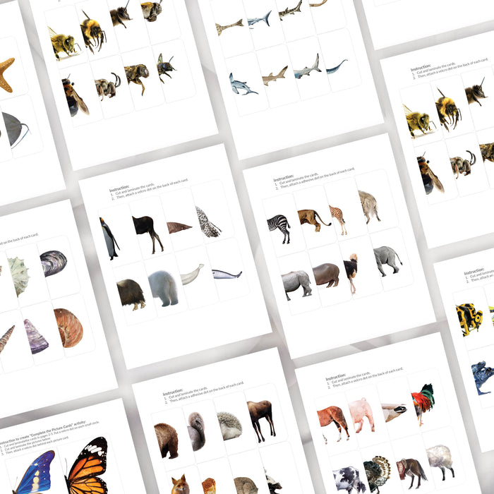 Symmetry Puzzles Animal Bundle
